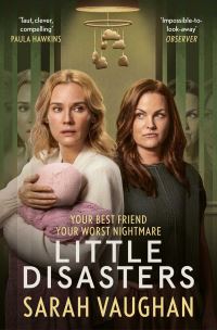 Book Cover for Little Disasters by Sarah Vaughan