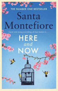 Book Cover for Here and Now by Santa Montefiore