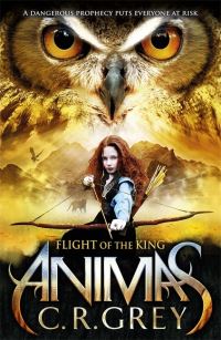 Book Cover for Flight of the King by C R Grey