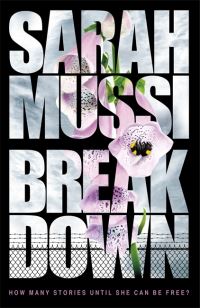 Book Cover for Breakdown by Sarah Mussi