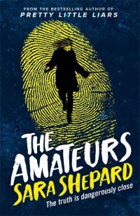 Book Cover for The Amateurs by Sara Shepard