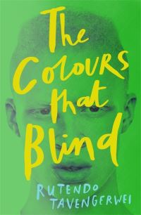 Book Cover for The Colours That Blind by Rutendo Tavengerwei
