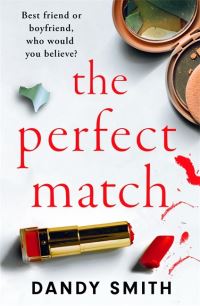 Book Cover for The Perfect Match by Dandy Smith