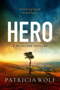 Book Cover for Hero by Patricia Wolf