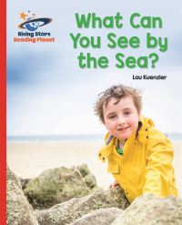 Book Cover for What Can You See by the Sea? by Lou Kuenzler