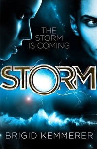 Book Cover for Storm by Brigid Kemmerer