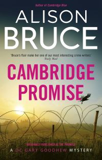 Book Cover for The Promise by Alison Bruce