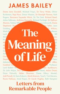 Book Cover for The Meaning of Life by James Bailey