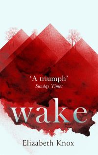 Book Cover for Wake by Elizabeth Knox