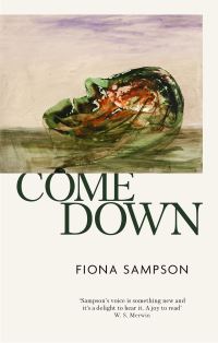 Book Cover for Come Down by Fiona Sampson