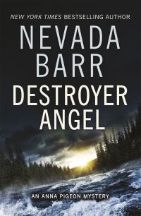 Book Cover for Destroyer Angel by Nevada Barr