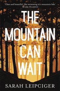Book Cover for The Mountain Can Wait by Sarah Leipciger