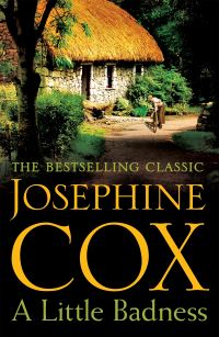 Book Cover for A Little Badness by Josephine Cox