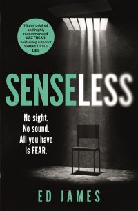 Book Cover for Senseless by Ed James