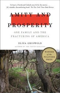 Book Cover for Amity and Prosperity by Eliza Griswold
