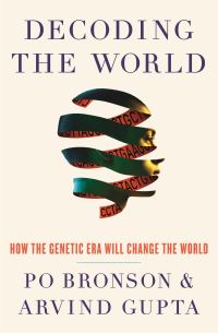 Book Cover for Decoding the World by Po Bronson, Arvind Gupta