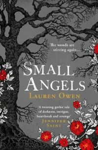 Book Cover for Small Angels by Lauren Owen