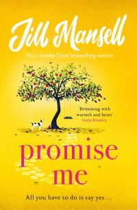 Book Cover for Promise Me by Jill Mansell