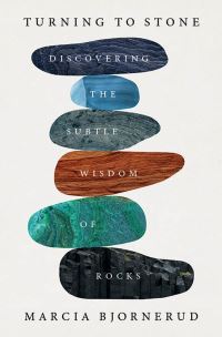 Book Cover for Turning to Stone by Marcia Bjornerud