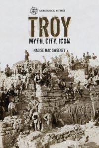 Book Cover for Troy by Naoíse Mac Sweeney