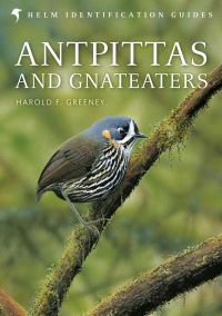 Book Cover for Antpittas and Gnateaters by Harold F Greeney
