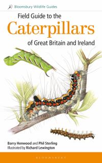 Book Cover for Field Guide to the Caterpillars of Great Britain and Ireland by Phil Sterling, Barry Henwood