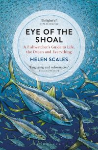 Book Cover for Eye of the Shoal by Helen Scales