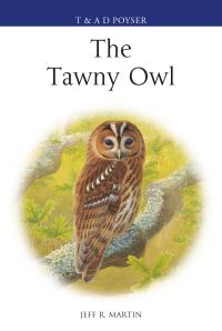 Book Cover for The Tawny Owl by Jeff R Martin