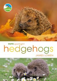 Book Cover for Hedgehogs by James Lowen, Royal Society for the Protection of Birds