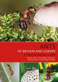 Book Cover for Ants of Britain and Europe by C Lebas, C Galkowski, R Blatrix, P Wegnez