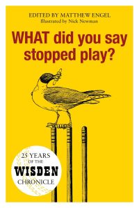 Book Cover for What Did You Say Stopped Play? by Matthew Engel, Nick Newman