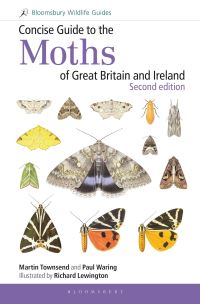 Book Cover for Concise Guide to the Moths of Great Britain and Ireland by Martin Townsend, Paul Waring