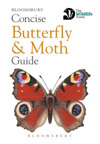 Book Cover for Concise Butterfly and Moth Guide by 