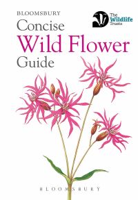 Book Cover for Concise Wild Flower Guide by 