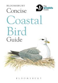 Book Cover for Concise Coastal Bird Guide by 