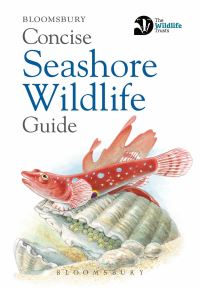 Book Cover for Concise Seashore Wildlife Guide by 