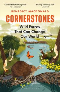 Book Cover for Cornerstones by Benedict MacDonald