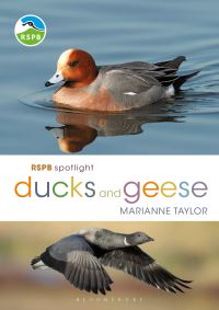 Book Cover for Ducks and Geese by Marianne Taylor, Royal Society for the Protection of Birds