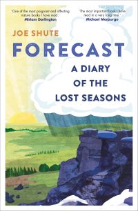 Book Cover for Forecast by Joe Shute