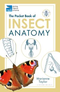 Book Cover for The Pocket Book of Insect Anatomy by Marianne Taylor