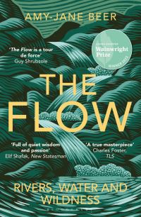 Book Cover for The Flow by Amy-Jane Beer 