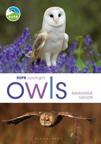 Book Cover for Owls by Marianne Taylor, Royal Society for the Protection of Birds