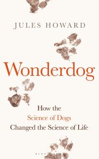 Book Cover for Wonderdog by Jules Howard