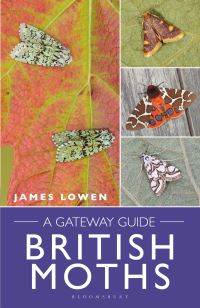 Book Cover for British Moths by James Lowen