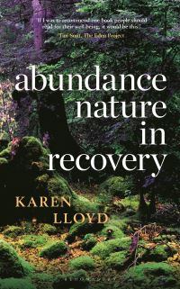 Book Cover for Abundance by Karen Lloyd