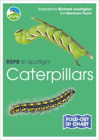 Book Cover for RSPB ID Spotlight - Caterpillars by Marianne Taylor