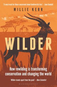 Book Cover for Wilder by Millie Kerr