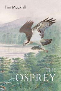 Book Cover for The Osprey by Tim Mackrill