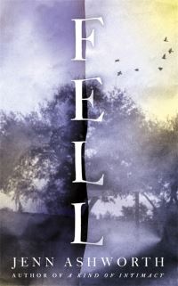 Book Cover for Fell by Jenn Ashworth