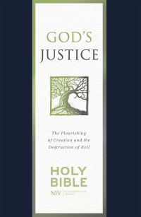 Book Cover for God's Justice by 